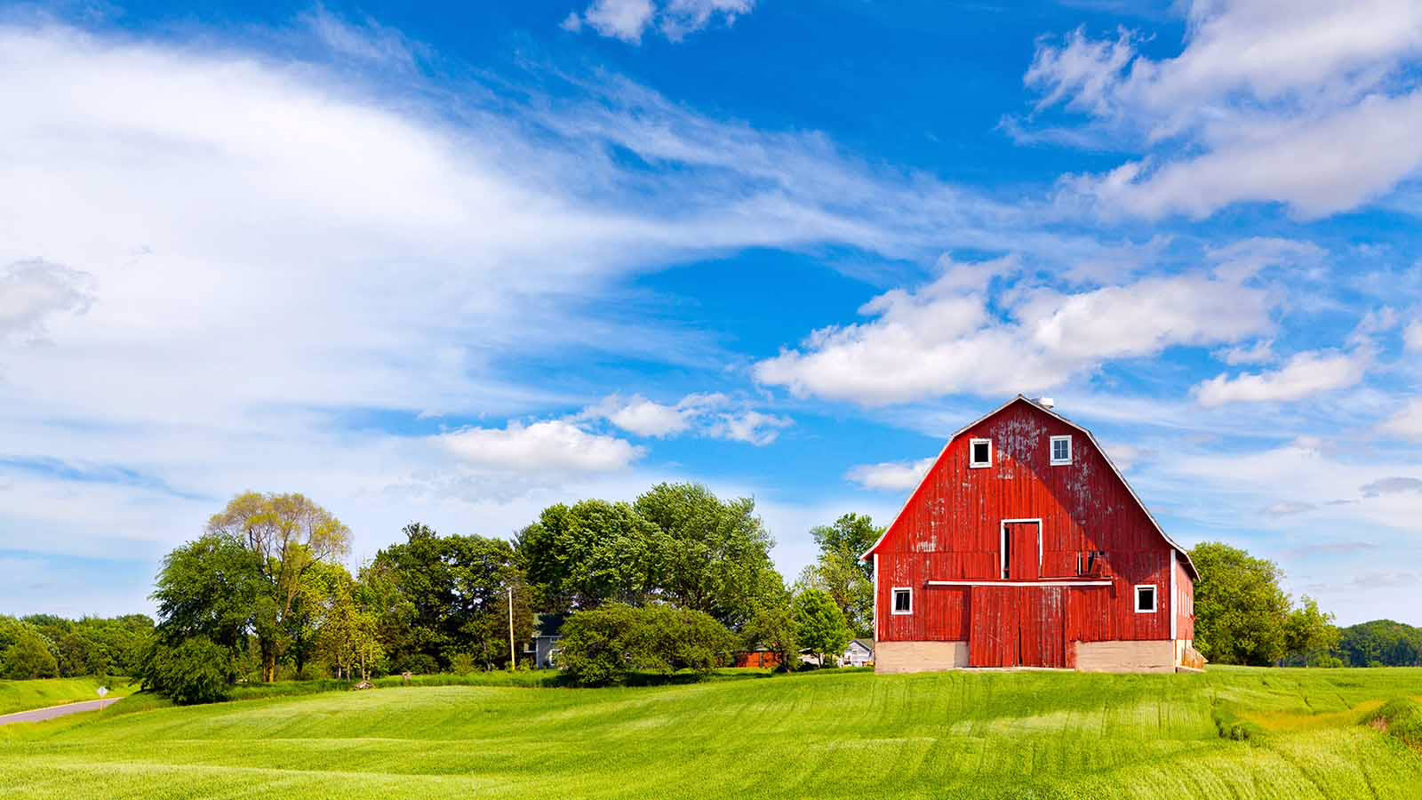 Redbarn 2
